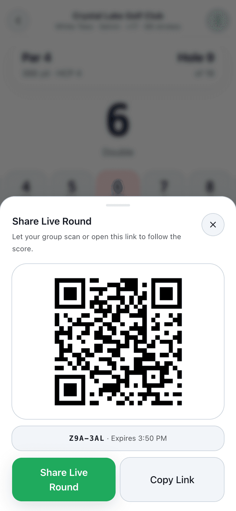 Parchaser Live Round sharing QR sheet